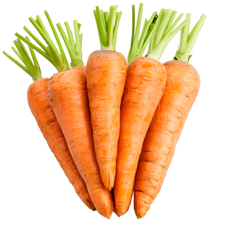 Picture of Carrots.