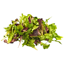 Picture of Spring Mix Blend.