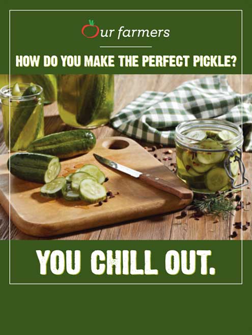 Photo of cucumber on cutting board with the text, 'How Do You Make the Perfect Pickle? You Chill Out.'